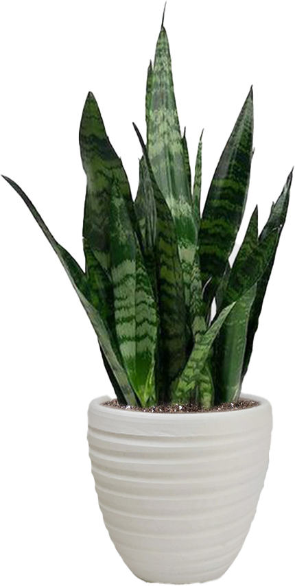 یه پیشنهاد عالی داریم براتون